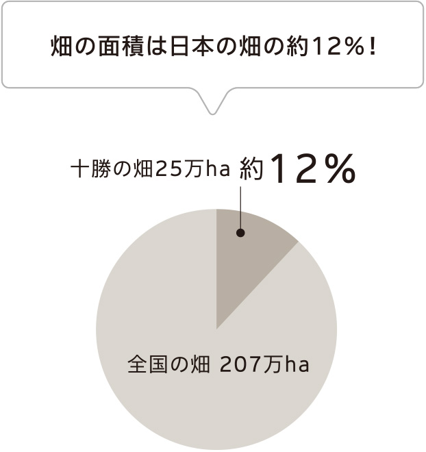 畑の面積は日本の畑の約12%